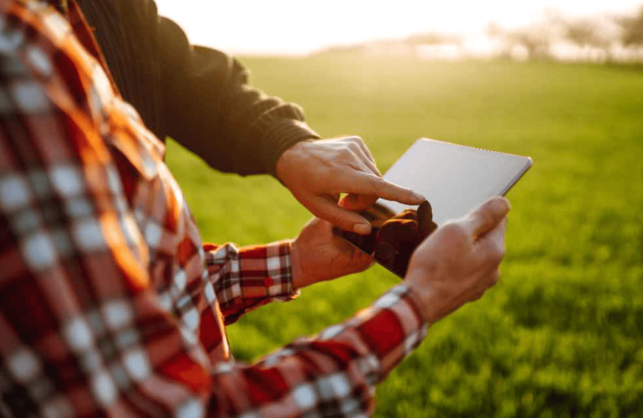 Persona usando una tablet